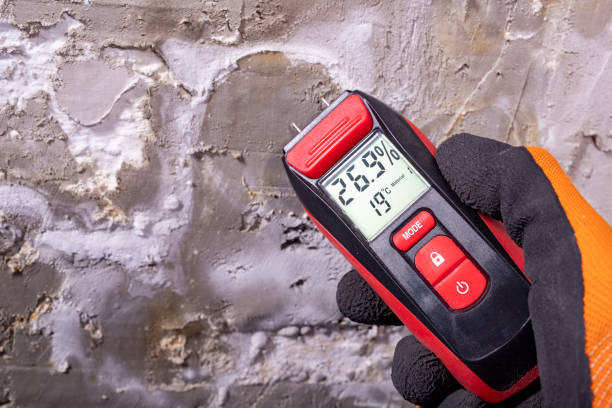 Best Insurance-Related Mold Remediation in Bigfoot, TX