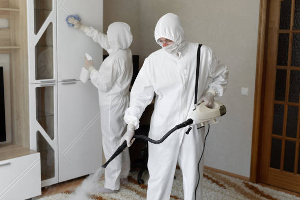 Best Post-Flood Mold Remediation in Bigfoot, TX