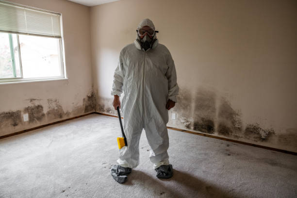 Best HVAC Mold Remediation in Bigfoot, TX
